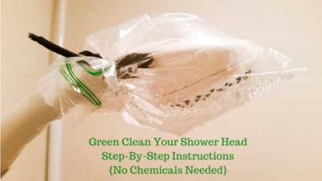 How to Green Clean Your Shower Head Image